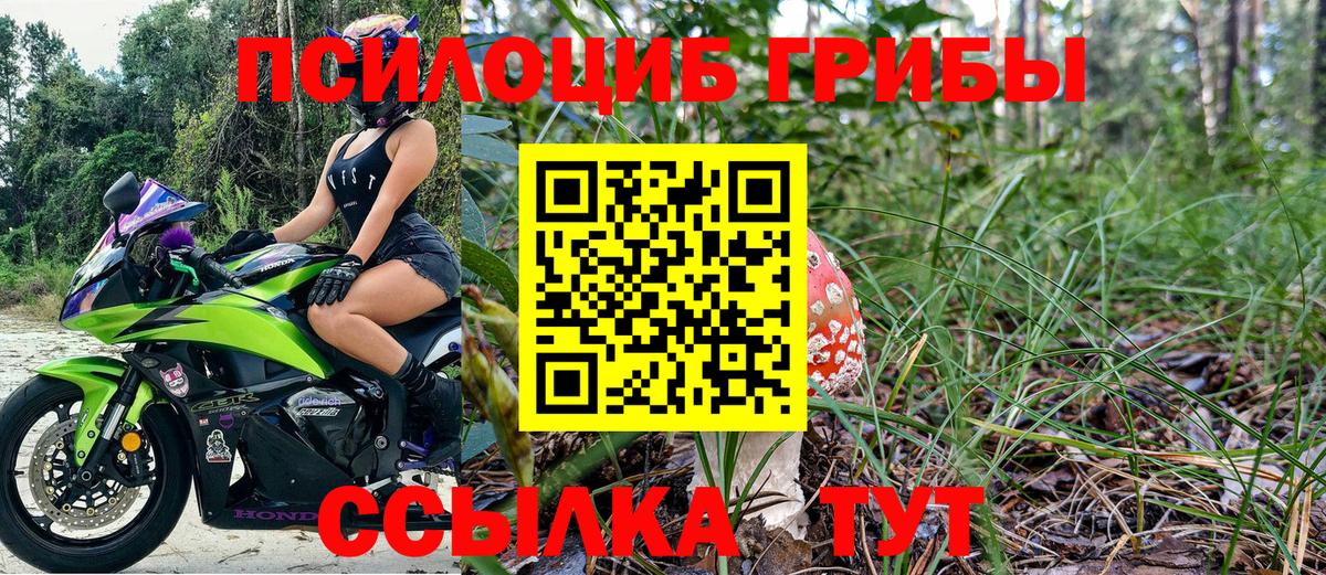 Псилоцибиновые грибы прущие грибы Мытищи