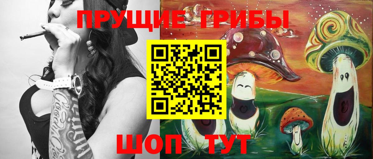 Псилоцибиновые грибы Psilocybe  Вход с VPN  Мытищи 